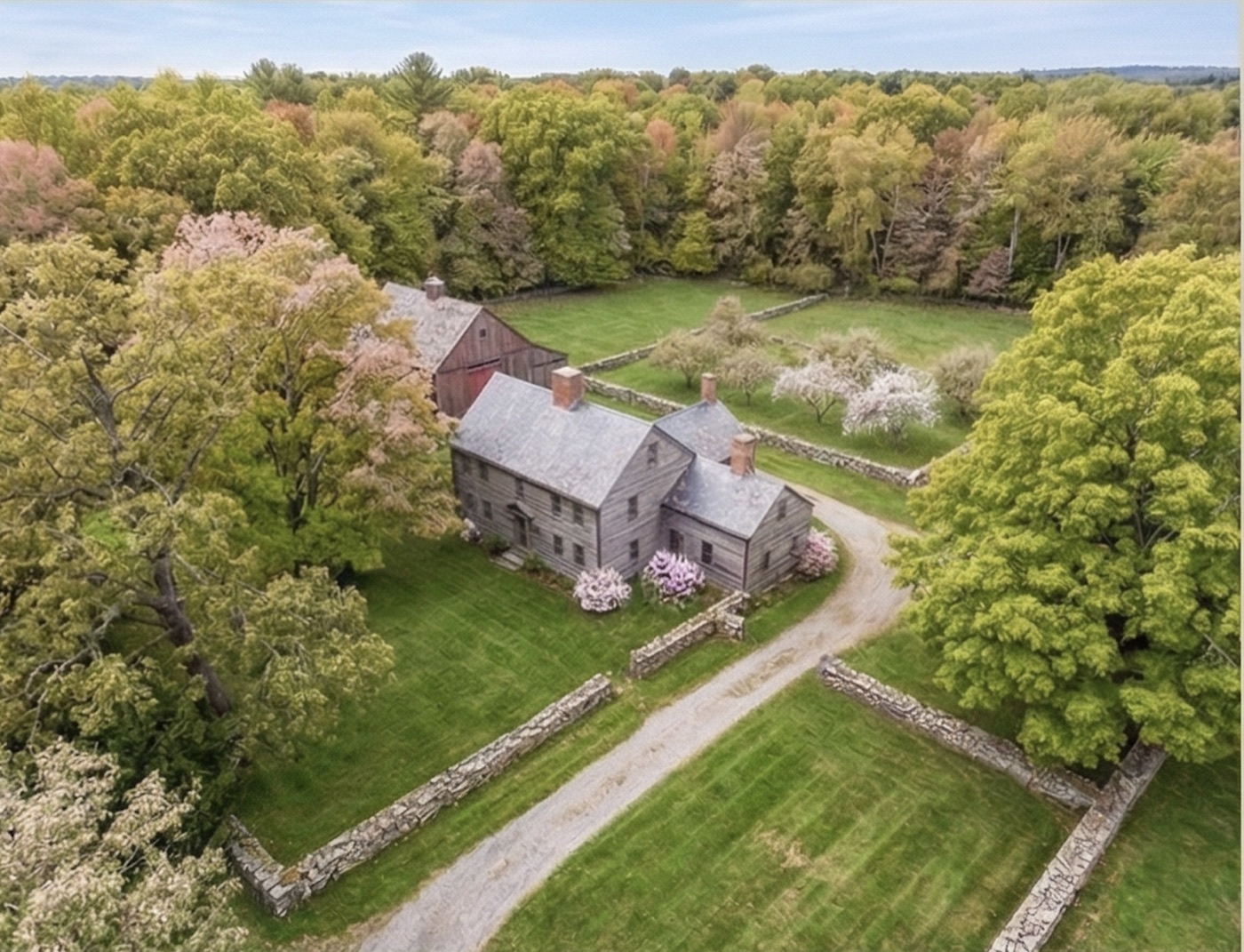 Spring view of a managed property with flowering trees and early canopy emergence.
