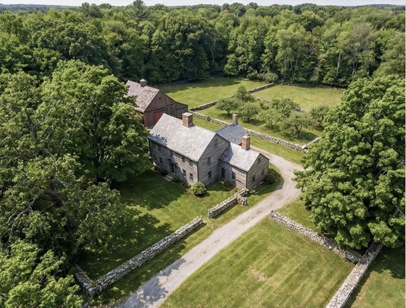 Full-canopy summer view across a managed estate property.