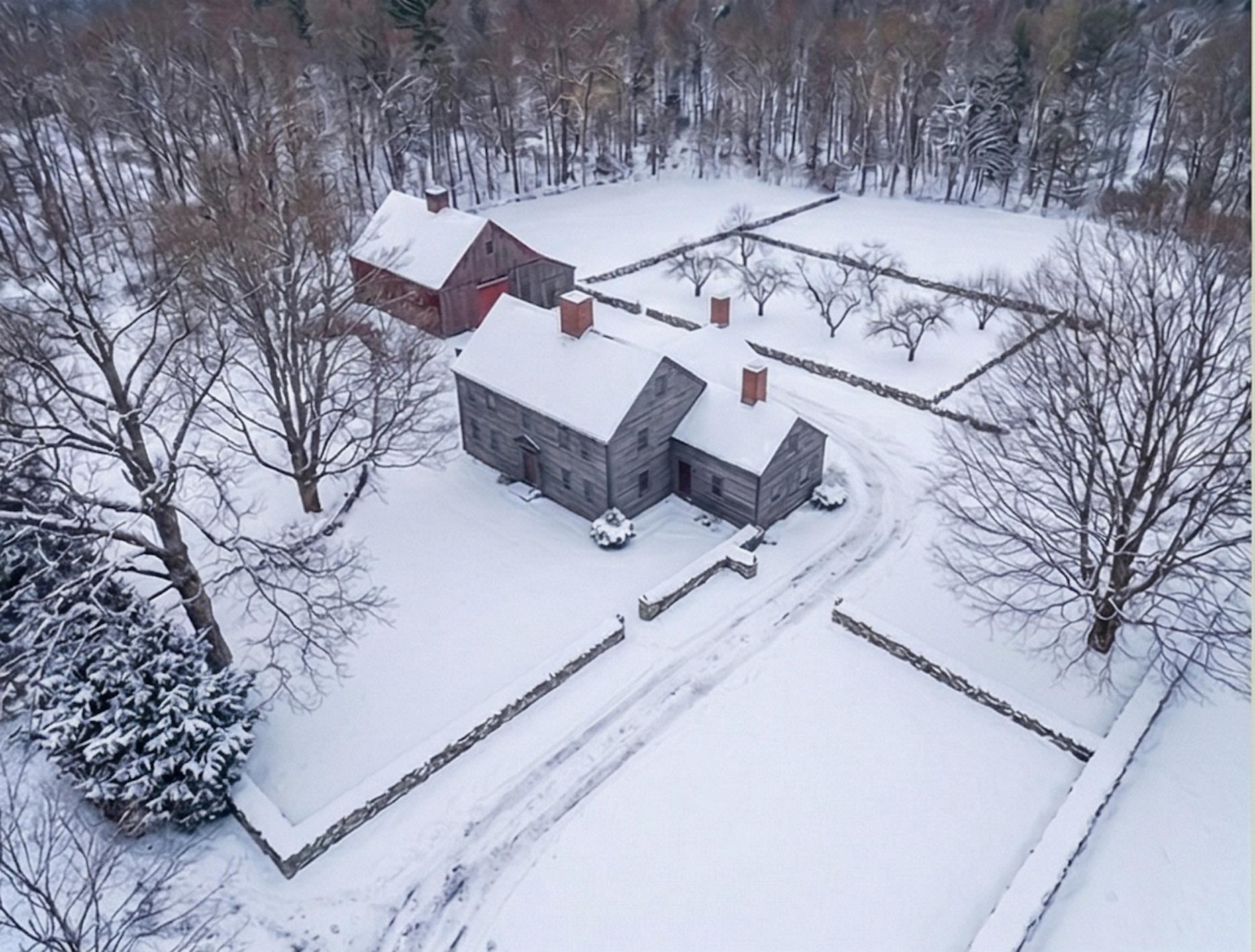 Winter view of a managed property with bare-canopy trees and snow cover.