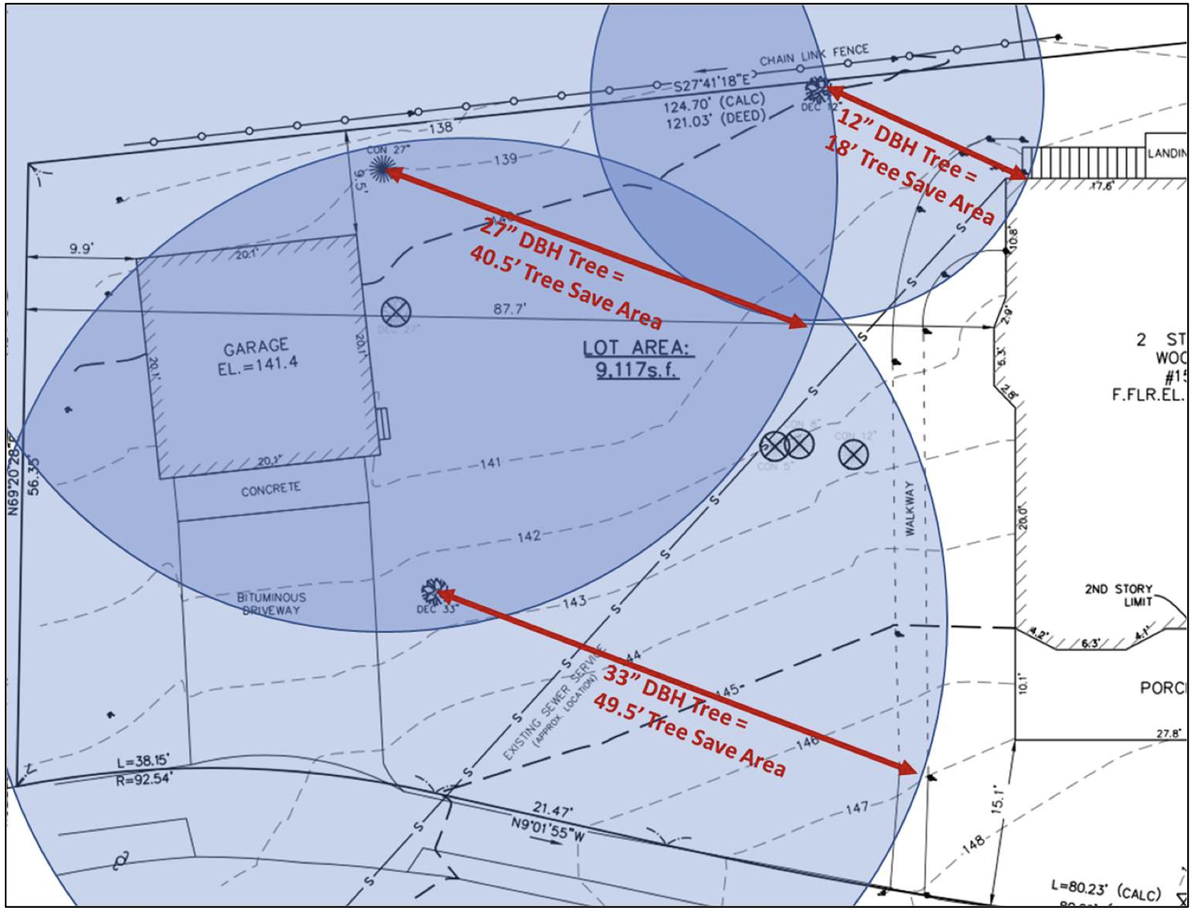 Tree Protection Plan (example 1)